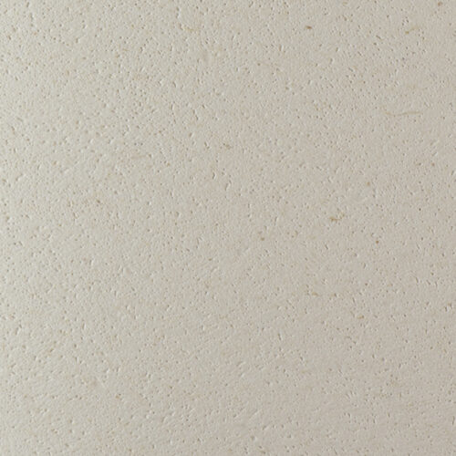 Remake Carapace Oyster