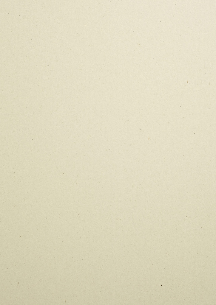 Woodstock Fedrigoni Betulla 285 Grs