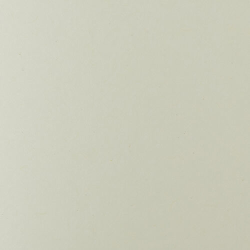 Shiro Echo 100% Recycled